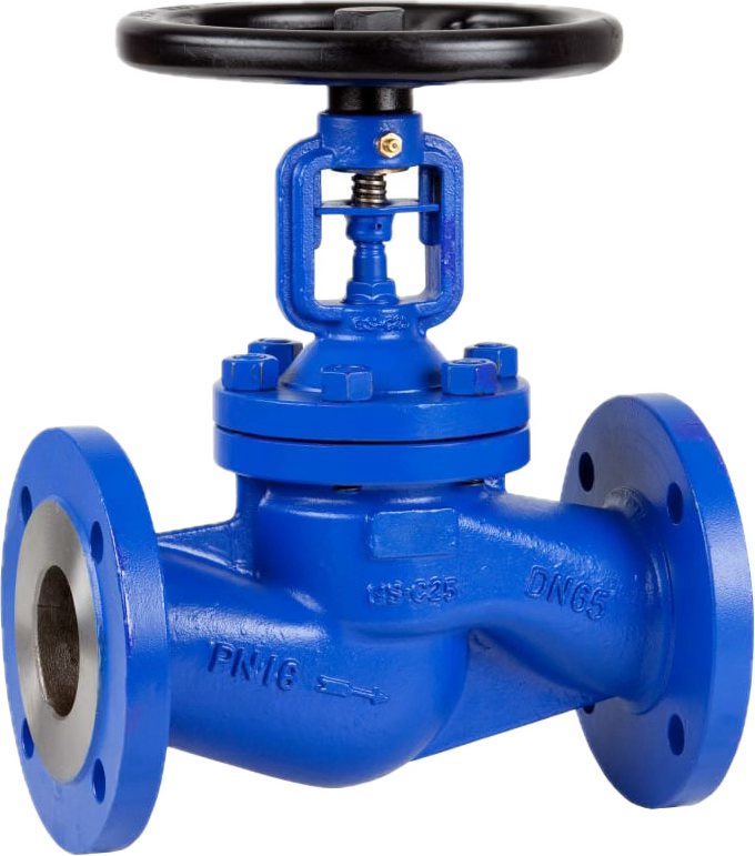 Globe Valve